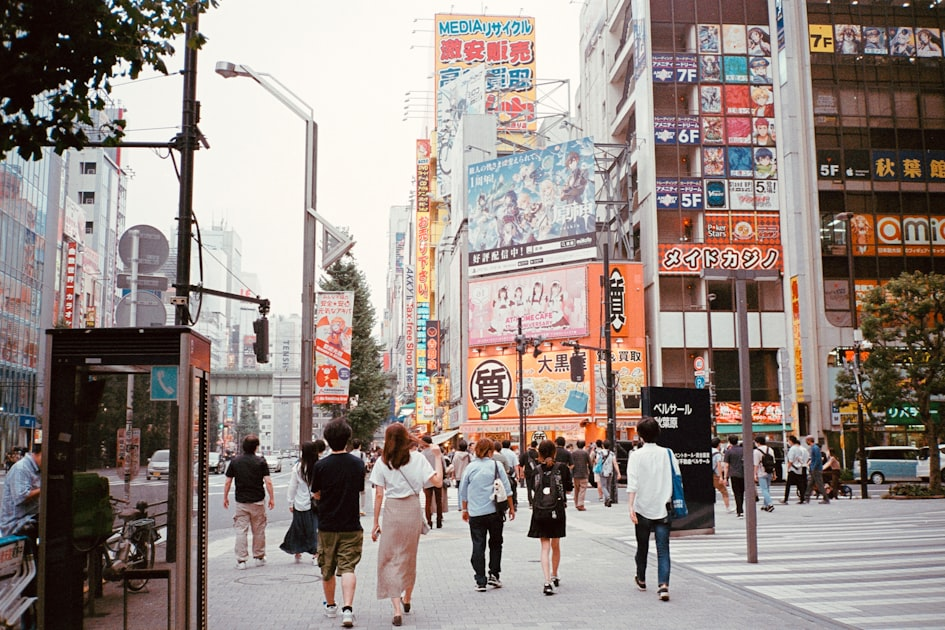Understanding Japanese Language Basics