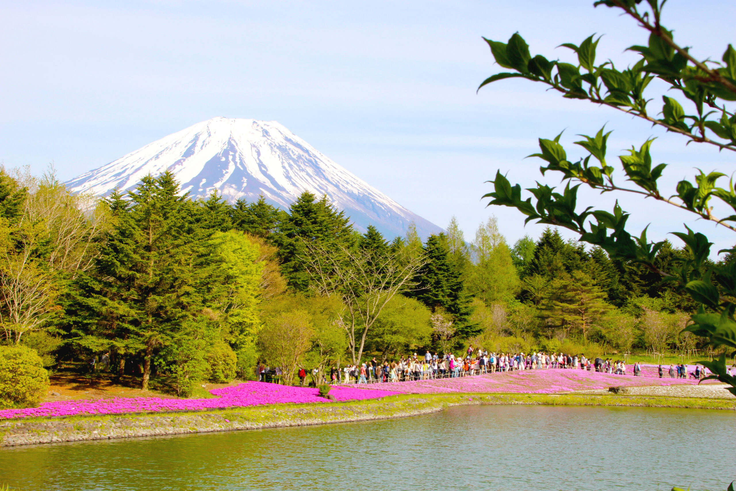 Spring in Japan: A Guide to the Best Spring Flower Festivals